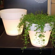 Pots and other Garden Structure