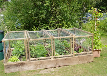 Raised bed with integral protection from rabbits