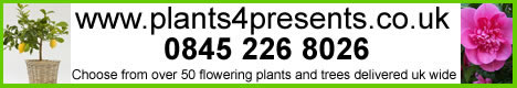 Plants4Presents