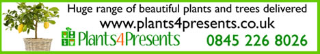 Plants4Presents