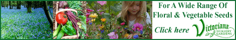 Victoriana Nursery Gardens - Quality Plants and Seeds delivered to your door