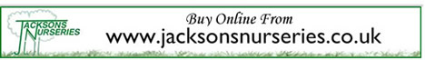 Buy online from Jacksons Nurseries